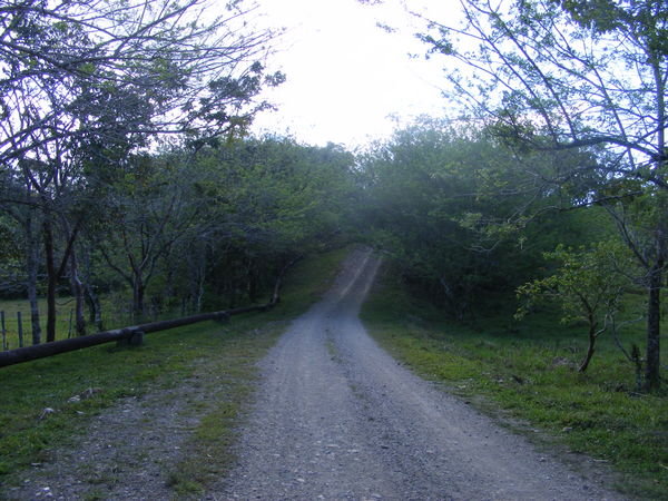 A Road that ran Part of the Way to Nuevo Rio Frio