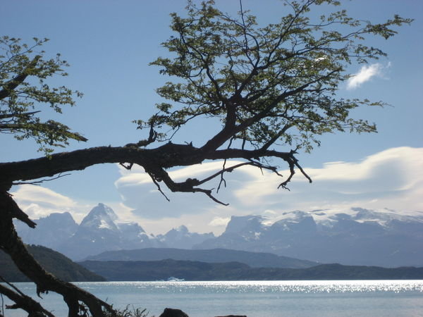 A Panorama of Glacial Areas Along Lago Argentina