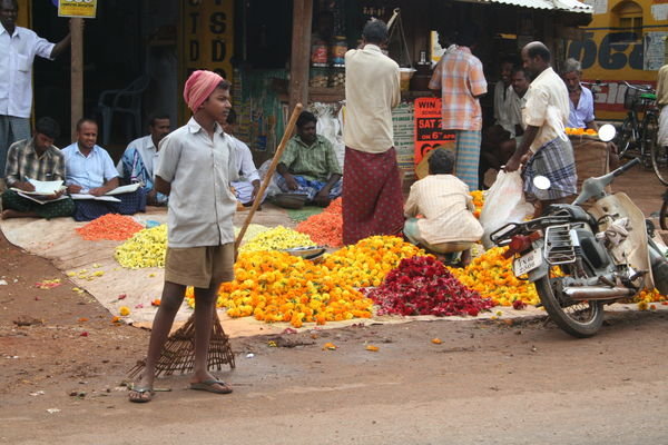 Flower Markets of Tamil Nadur