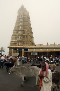 Mudumalai  Temple