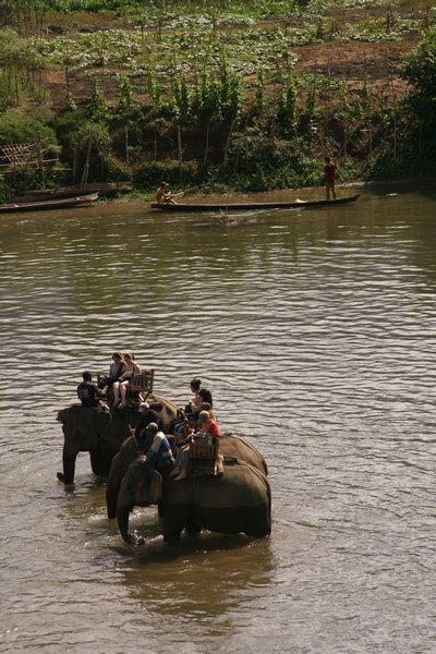Elephant ride.