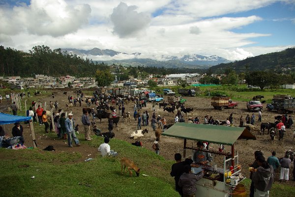 View from the hill of the animal market