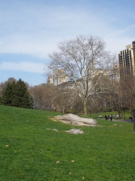 Central Park, looking towards the Met