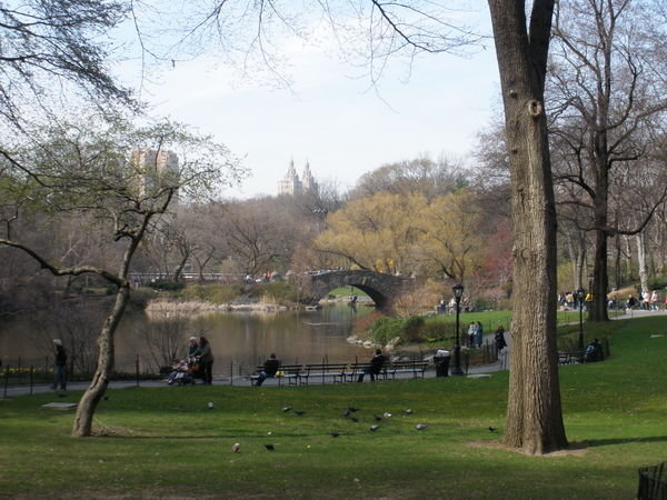 Central Park in the spring time
