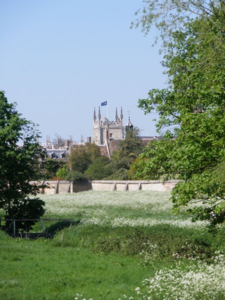 Picturesque Cambridge