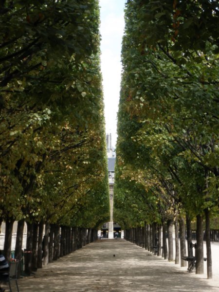 Gardens to the rear of Palais-Royal