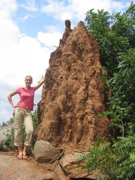 Kate and  Termite Hill