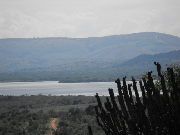 Lake Mburo view from camp