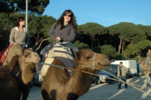 my camel ride