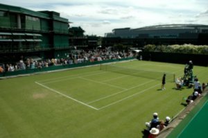 the grass courts