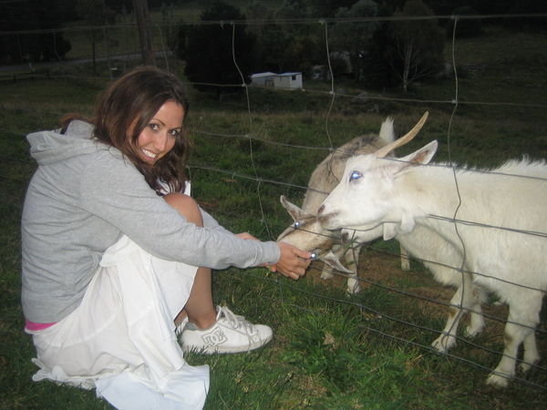 Feeding the friendly goats at the B&B