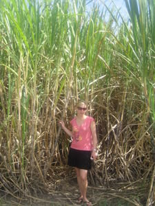 Nina and some massive sugar cane