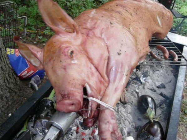 pig roast by Greg&Alex