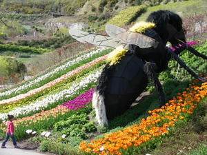 Inside the Eden Project gardens | Photo