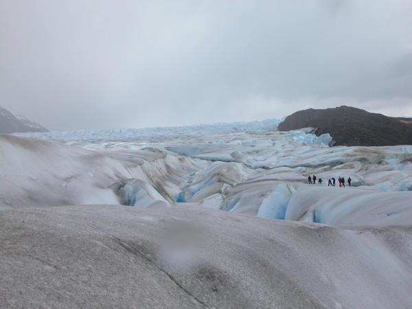 On Grey's Glacier #2