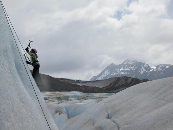 Climbing On Grey's Glacier