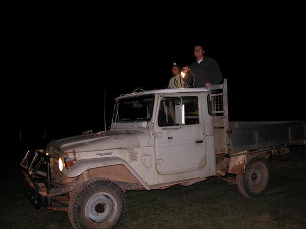 On Night Safari