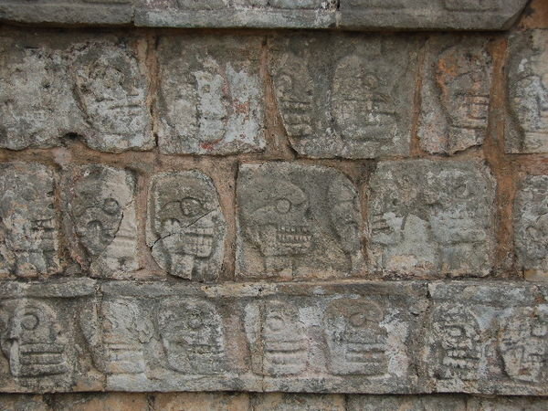 Mayan skulls