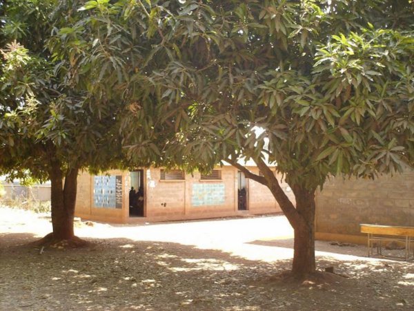 Mango trees providing some shade at the school
