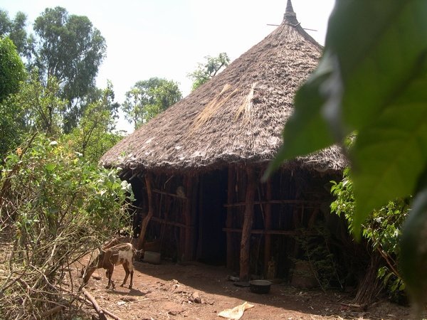 The Melese family house