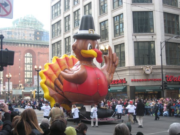 Giant Turkey! | Photo