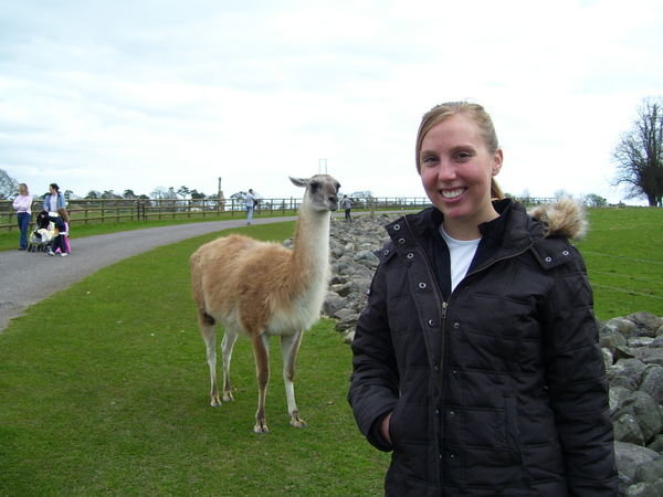 A llama and me!