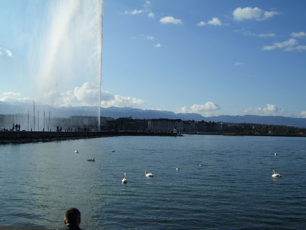 The fountain in Lake Geneva
