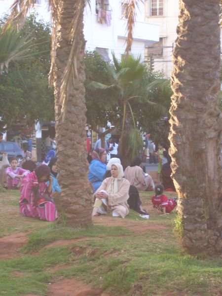 Moroccans in a park