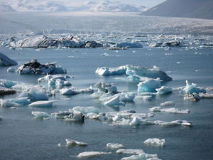 Iceberg Bay