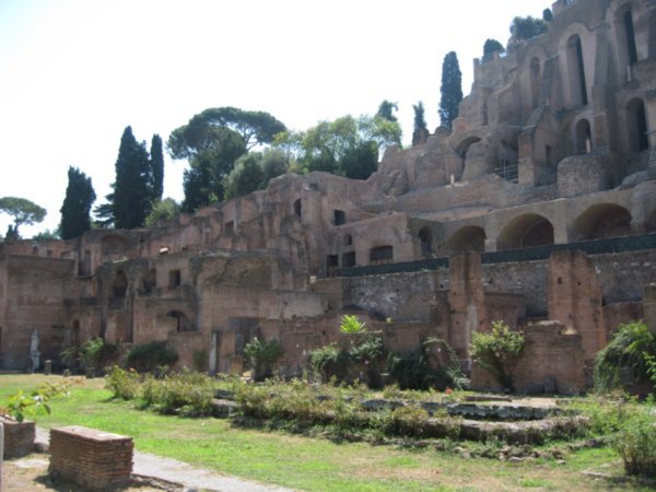 A scence in the Forum