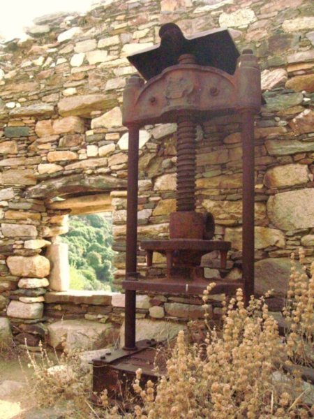 Abandoned olive press