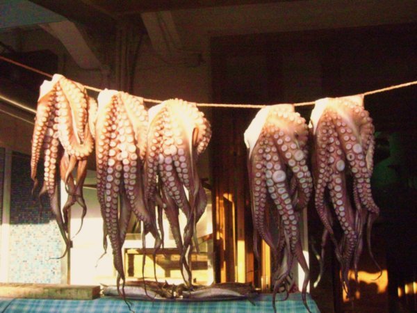 Drying octouss