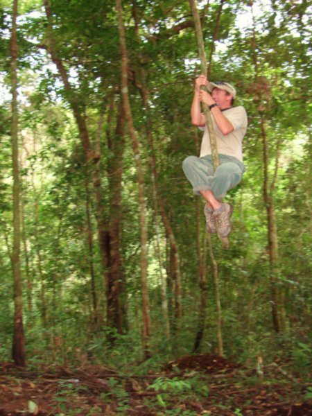 Tarzan swinging on a vine in the jungle