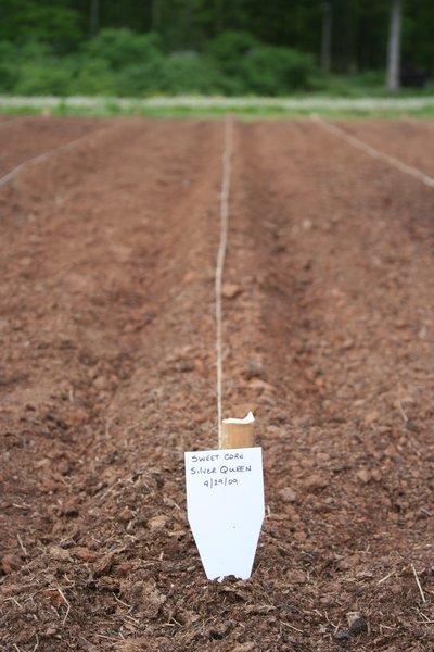 Marking rows for the garden