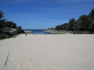 Clovelly Bay Beach