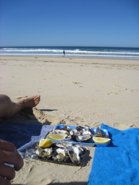 Oysters on the Beach