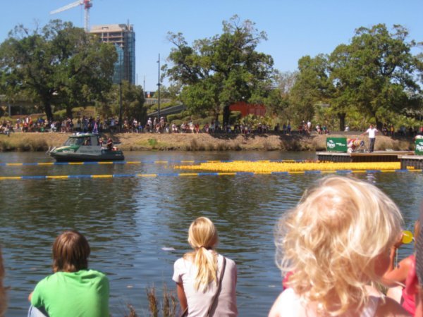 The Great Australia Day Duck Race