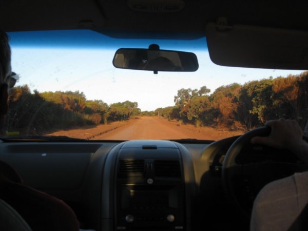 Driving around Kangaroo Is.
