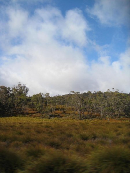 Tasmanian Landscape