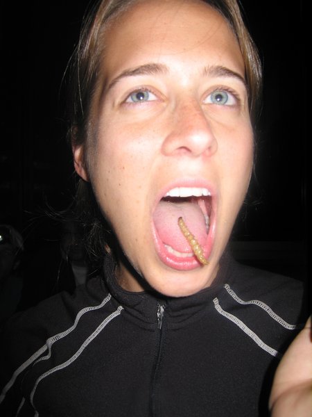 Heidi eating mealworm