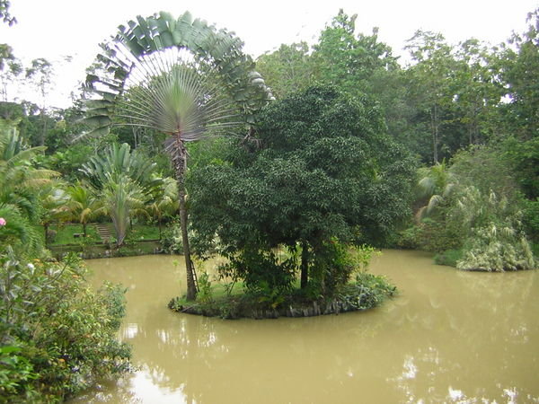 Sepilok Jungle Resort 2