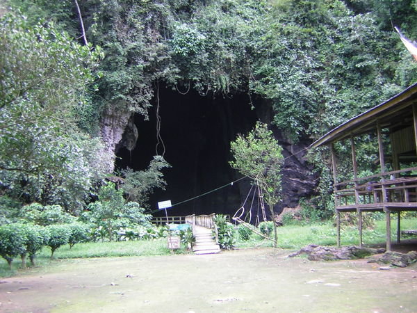 Gomantong Cave 2