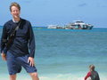 Gregg on Lady Musgrave Island