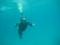 Graham underwater