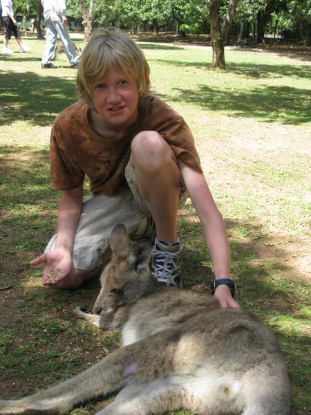 Graham finds a Kangaroo Pal