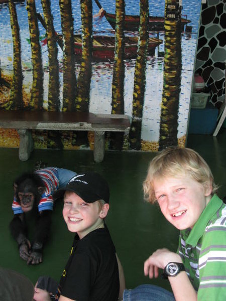 Boys and a toddler monkey - so cute and entertaining!
