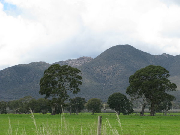 First view of The Grampians