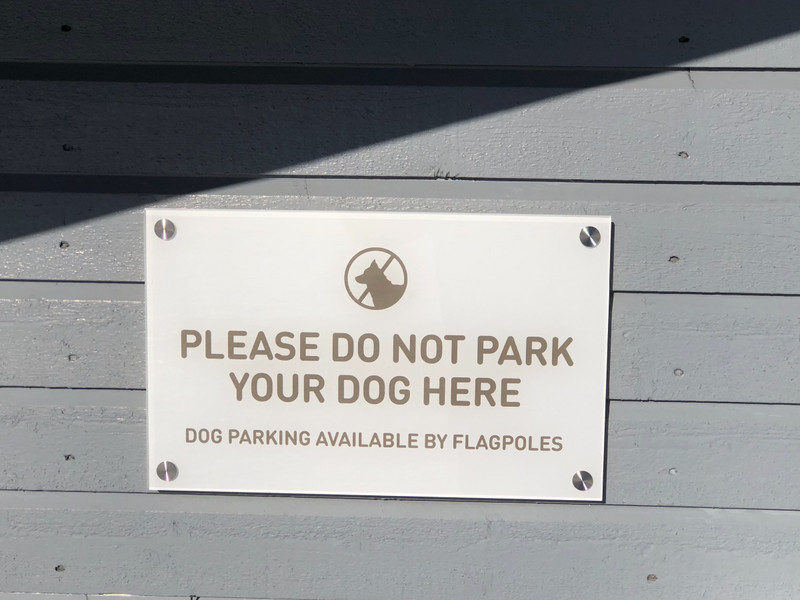 Dogs are common here