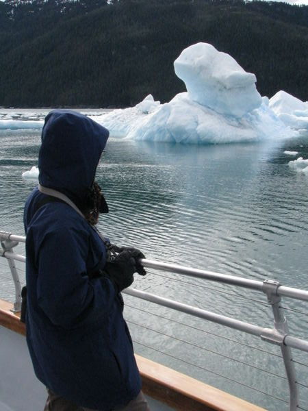 icebergs from Columbia Glacier