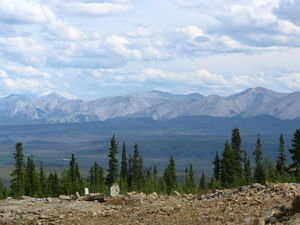 more of the Dempster views